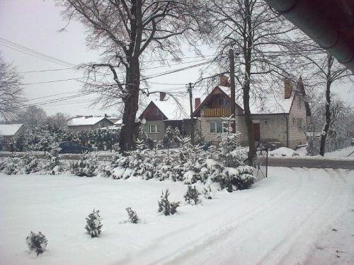 Obraz (2)